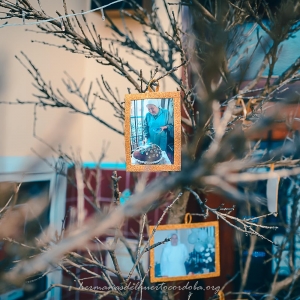 Bodas de Oro - Hermana del Huerto Pucheta