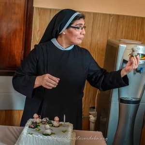 Profesión perpetua, bodas de oro y renovación de votos 2019