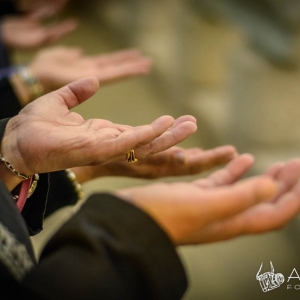 InterHuerto - 2º día