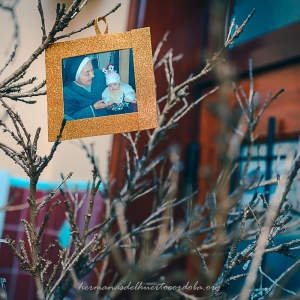 Bodas de Oro - Hermana del Huerto Pucheta