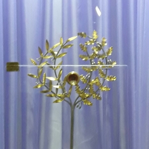 Encuentro de referentes de la Familia Gianellina en Pergamino