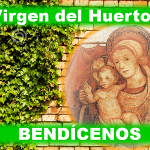 Diseños diapositivas con pensamientos de Gianelli