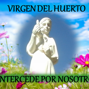 Diseños diapositivas con pensamientos de Gianelli